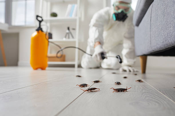 Commercial Rodent Management in Garnett
